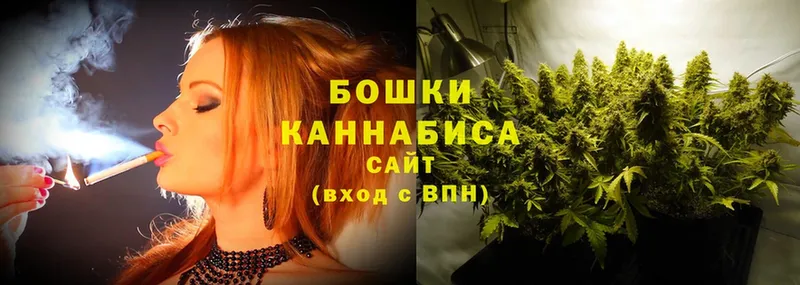 Бошки Шишки SATIVA & INDICA  что такое   Гаджиево 